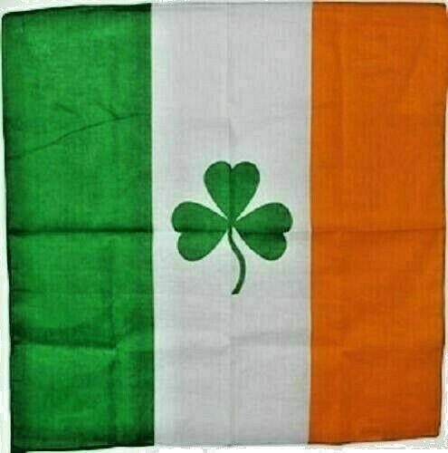 Pack ireland shamrock - 3, st